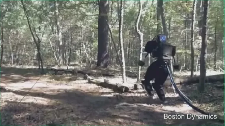 Robot-Terminator vreba u američkim šumama