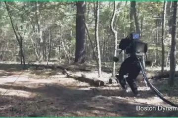 Robot-Terminator vreba u američkim šumama