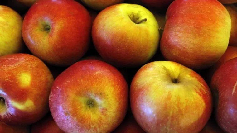 BiH izvozi sve veće količine voća u Rusiju, sljedeće je mlijeko