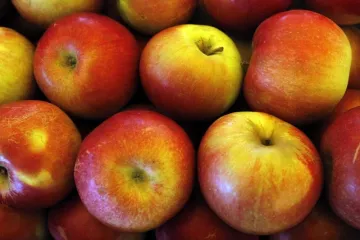 BiH izvozi sve veće količine voća u Rusiju, sljedeće je mlijeko