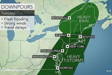 Na što vas podsjećaju ovi sasvim nevini prizori?