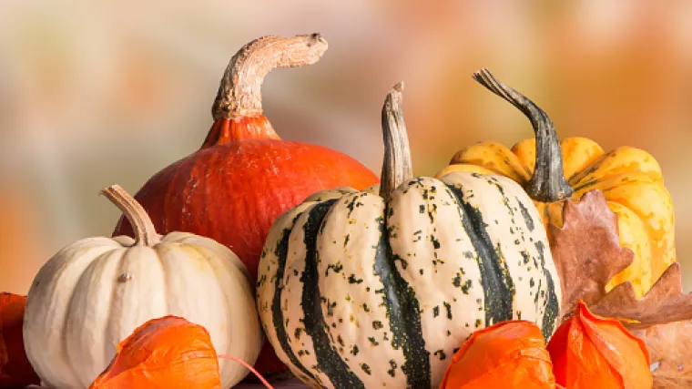 Vrijeme ove ukusne namirnice tek dolazi: donosimo vam recepte za specijalitete od buče