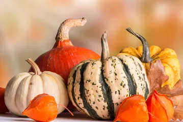 Vrijeme ove ukusne namirnice tek dolazi: donosimo vam recepte za specijalitete od buče