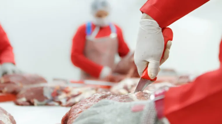 Poznati slovenski političar s 18 godina parlamentarnog staža zaposlio se - u klaonici!