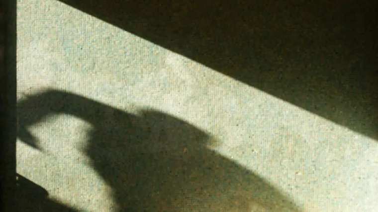 Otac napio malodobnu kćer, pa je s poznanikom silovao