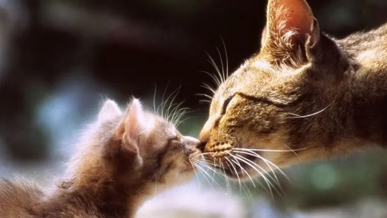 16 dokazanih činjenica koje vraćaju vjeru u svijet