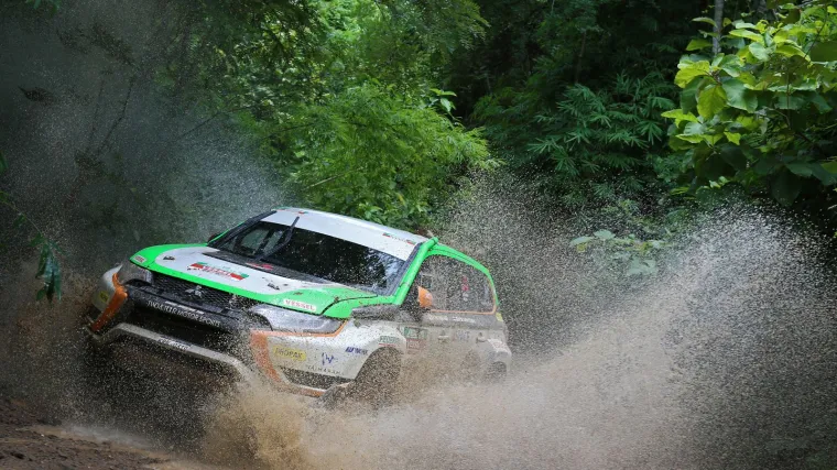 Hibrid bere lovorike