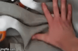 Ovo je možda najsmje&scaron;niji (i najstra&scaron;niji) kratki video kojeg ćete danas vidjeti