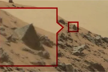 Ima li tamo života ili je internet totalno poludio?