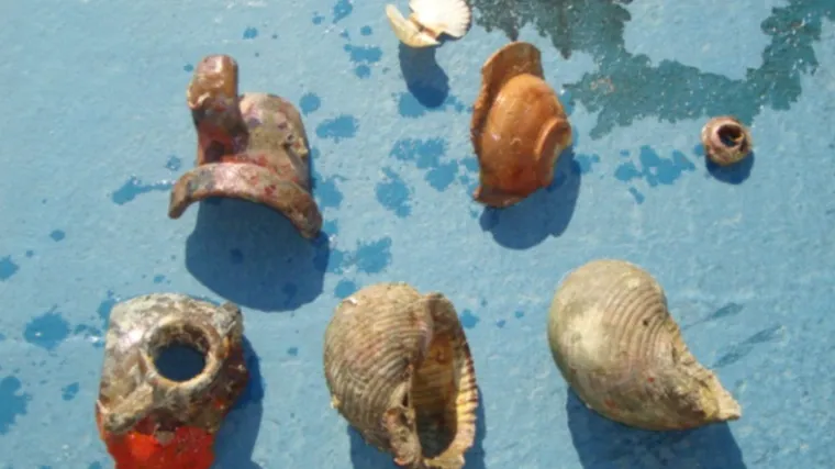 Iz podmorja izvukli četiri dijela amfore i za&scaron;tićene &scaron;koljke pa zavr&scaron;ili u zatvoru