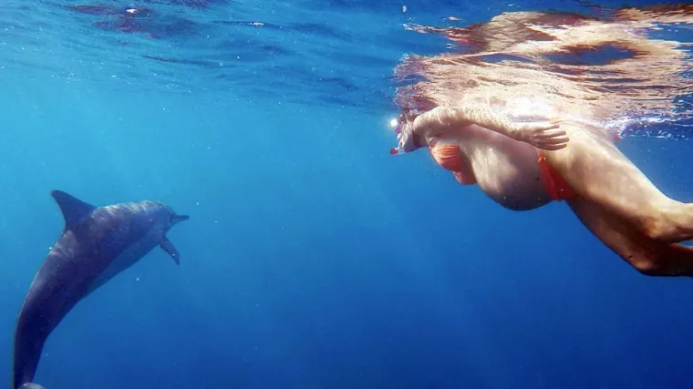 Dupin će joj biti 'babica': ova žena rodit će u moru unatoč upozorenjima zbog morskih pasa