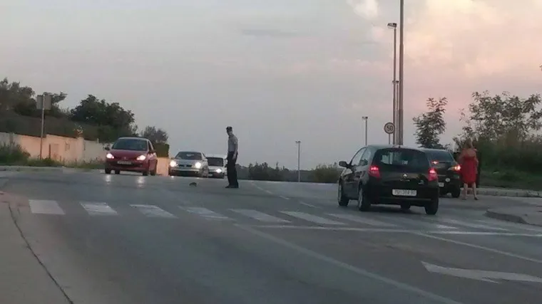 Heroj dana: Policajac u Puli zaustavio promet kako bi jež prešao cestu