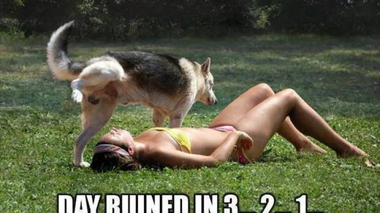 Dan upropa&scaron;ten za 3... 2... 1...