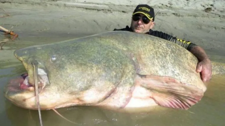 U somu kapitalcu na&scaron;li ljudske kosti i vojne značke