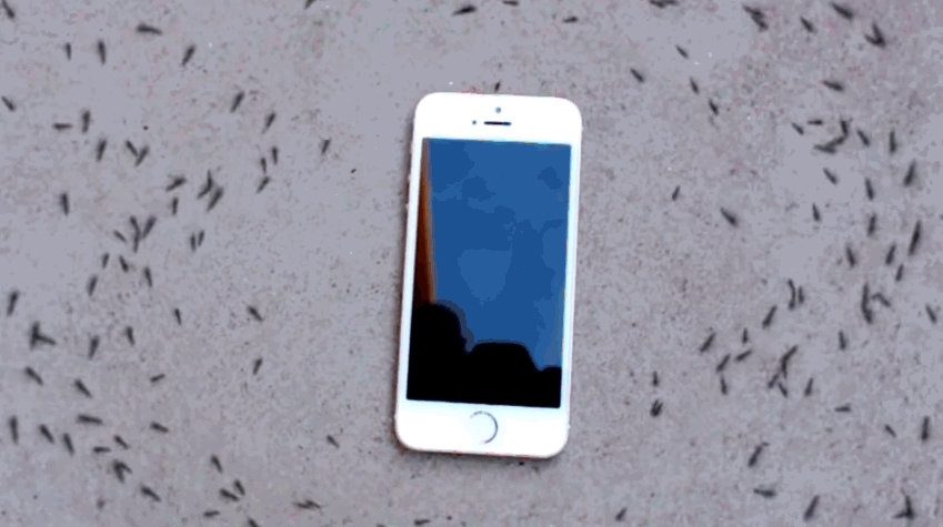 A što tek radi vašim moždanim stanicama