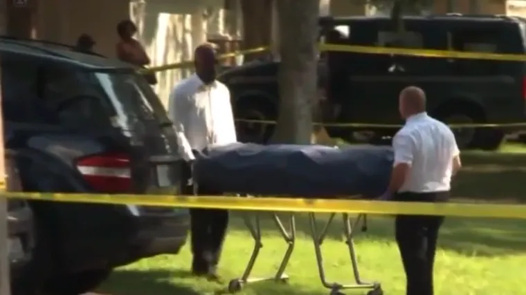 Dječak ustrijelio provalnika koji je treći put provaljivao u kuću