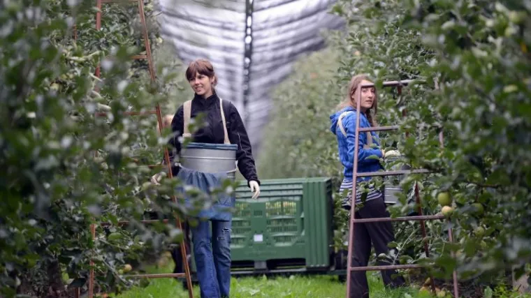 Plaćamo rad i sve doprinose i opet teško nalazimo radnike