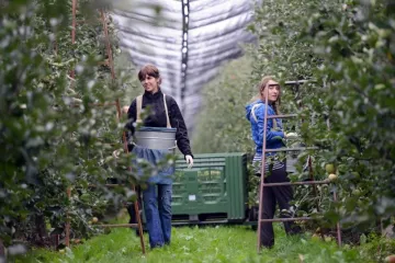 Plaćamo rad i sve doprinose i opet teško nalazimo radnike