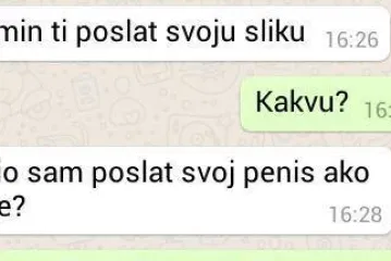 Neki frajer joj htio poslati sliku svojeg penisa, a ona je imala najbolji odgovor!