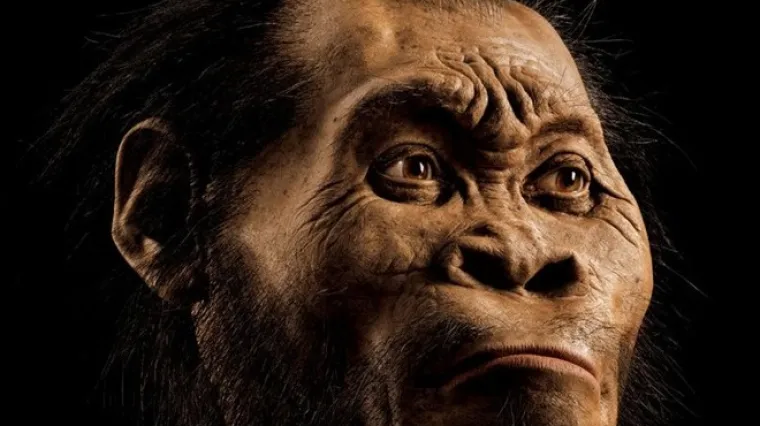 Otkrivena nova vrsta čovjeka, pokapao mrtve kao i Homo sapiens