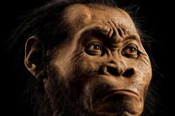 Otkrivena nova vrsta čovjeka, pokapao mrtve kao i Homo sapiens