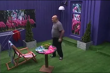 Rade se pokušava obraniti od pčela