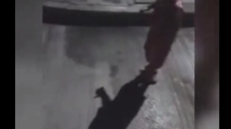 I vrišti od straha kada primjeti da ga svuda prati