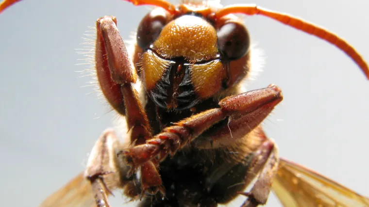 Stariji mu&scaron;karac preminuo nakon &scaron;to ga je ubo str&scaron;ljen nedaleko od Rugvice!
