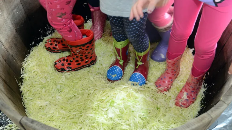 Kad se male noge slože, sve se može, sve se može - klinci gazili varaždinsko zelje!