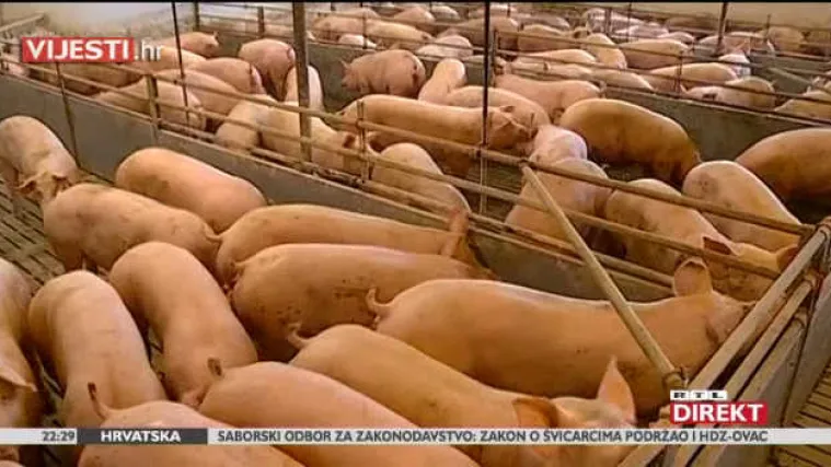 Posjetili smo najbolje i najmodernije 'Obiteljsko poljoprivredno gospodarstvo' u Hrvatskoj