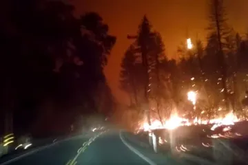 Pogledajte jezivu snimku vatre koja guta kuće, vozila, šumu...