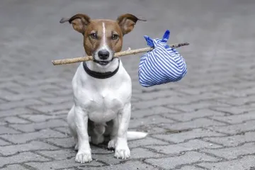 Aplikacija za pseću kakicu za patrolne rute specijaliziranih timova