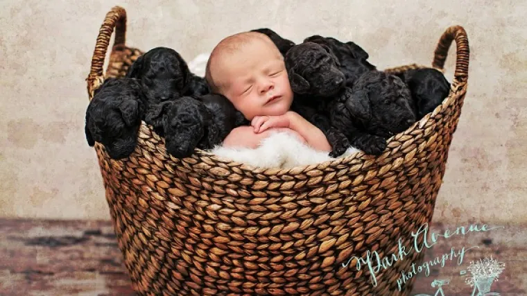 Vlasnica i njezina pudlica rodile istog dana