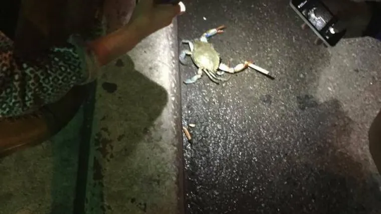 &Scaron;to rak pu&scaron;ač dobije na plućima?