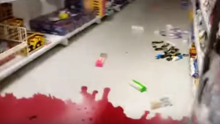 Potres jačine 8,3, a potom i tsunami pogodili su Čile