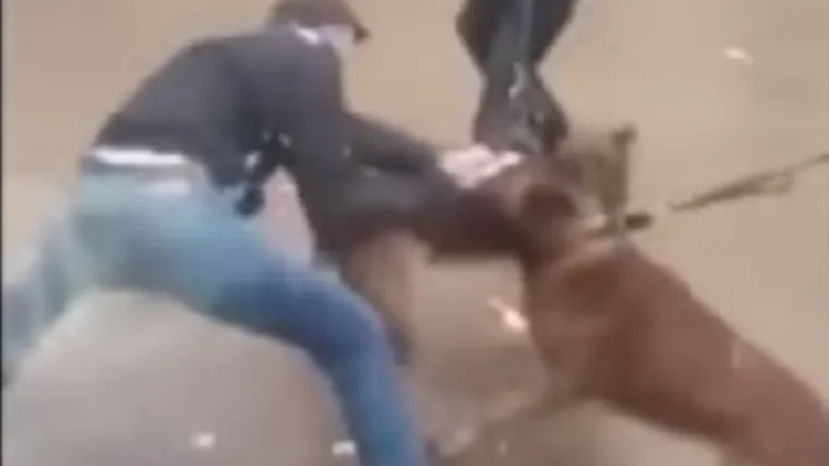 Policija na izgrednike poslala pse!