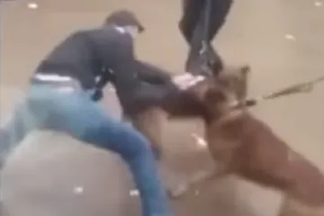 Policija na izgrednike poslala pse!