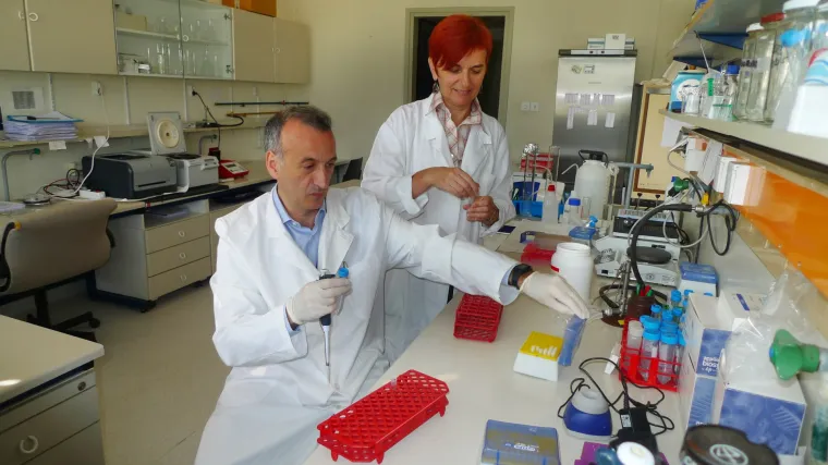 Genetičari s Instituta Ruđer Bošković otkrili kako organizam uspješno preživljava stres