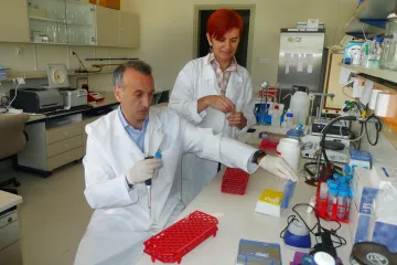 Genetičari s Instituta Ruđer Bošković otkrili kako organizam uspješno preživljava stres