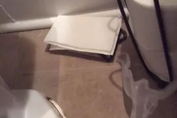 Dočekalo ga jezivo, tajanstveno stvorenje sakriveno ispod papira