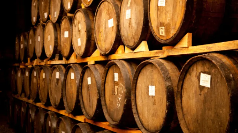 Mu&scaron;karac preru&scaron;en u Elvisa banuo u vinariju i uperio pi&scaron;tolj prema radniku: 'olak&scaron;ao' ga za 400 dolara