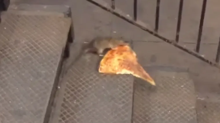 U New Yorku snimljen &scaron;takor koji nosi kri&scaron;ku pizze