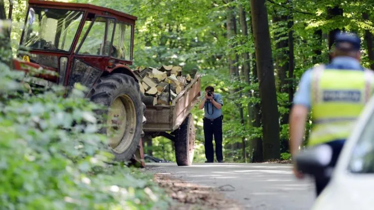Poginuo vozač u &scaron;umi kod Na&scaron;ica
