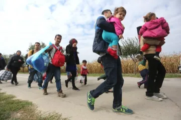 Kako bi nahranio izbjeglice donirao je bika od 600 kilograma