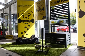 Predstavljen prvi dog-friendly salon u Hrvatskoj