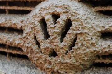 Volkswagen slao pisma vlasnicima vozila u pokušaju sanacije štete