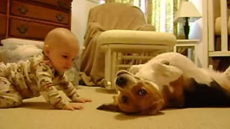 Bigl Buddy totalno se rastopio kada je prvi puta upoznao bebicu