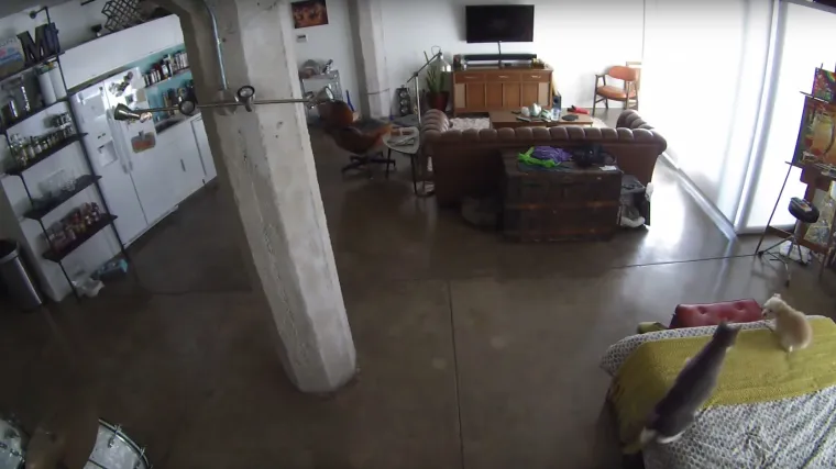 Ovaj psić te&scaron;ko da će ikad vi&scaron;e lajati na mačke