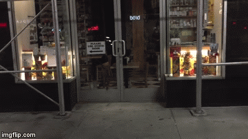 Mi&scaron; zna kako izludjeti mačku i nema nimalo milosti