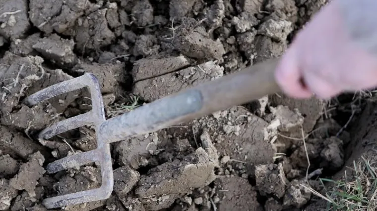 Otac na četvero djece nasrnuo nožem i vilama